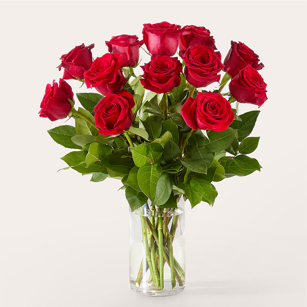 The One Red Rose Bouquet –  Jazmin Flowers, Chicago IL