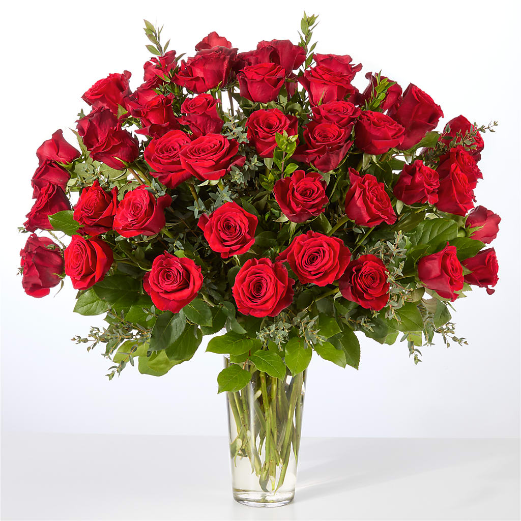 Forever Yours Fifty Stem Red Rose Bouquet –  Jazmin Flowers, Chicago IL