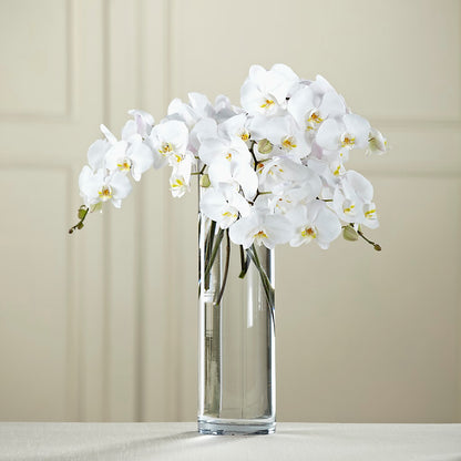 White Phalaenopsis Bouquet –  Jazmin Flowers, Chicago IL