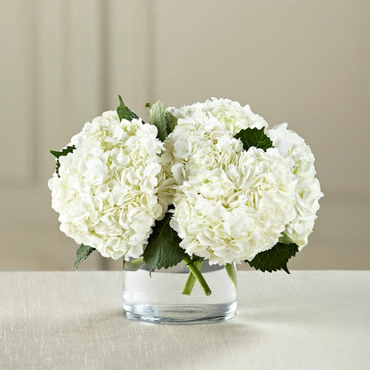 White Hydrangea Bouquet –  Jazmin Flowers, Chicago IL